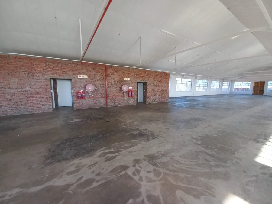 To Let commercial Property for Rent in Diep River Western Cape